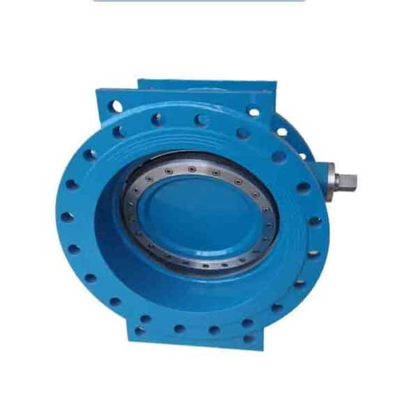 Butterfly Check Valve 1