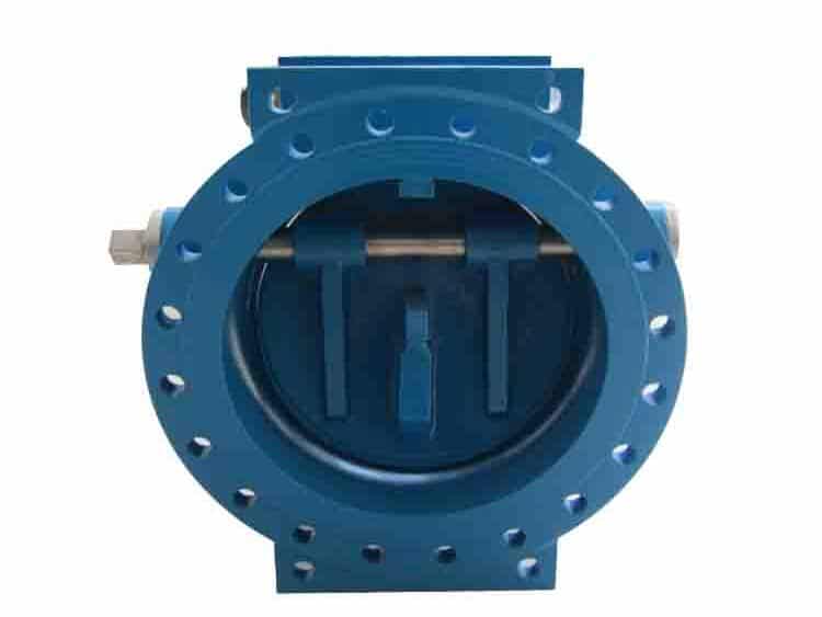 Butterfly Check Valve